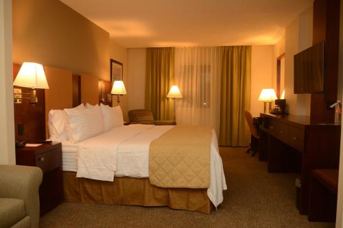 埃莫西约埃莫西约阿罗普假日套房酒店的酒店客房配有一张带白色枕头的大床