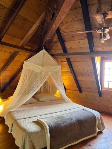 圣克洛德Habitation La Reine du Camp Chambres d'Hôtes的一间卧室配有一张带蚊帐的床