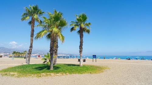 托雷德尔马尔Hostal Mediterraneo的两棵棕榈树,位于海边沙滩上