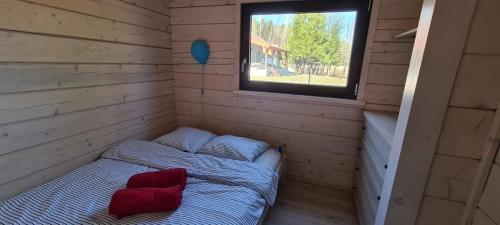 PiertaniePietraszówka的木制客房的一张床位,设有窗户