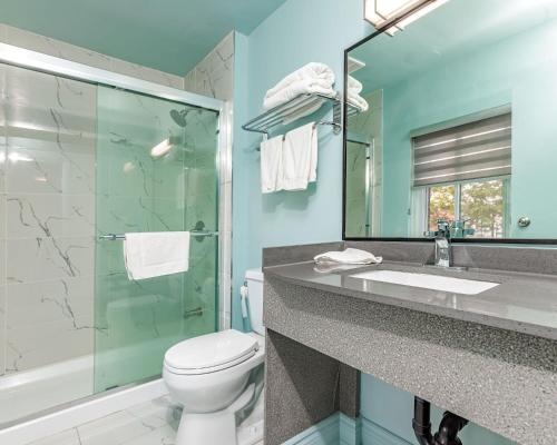 尼亚加拉瀑布Mamma's Inn的一间带卫生间和玻璃淋浴间的浴室