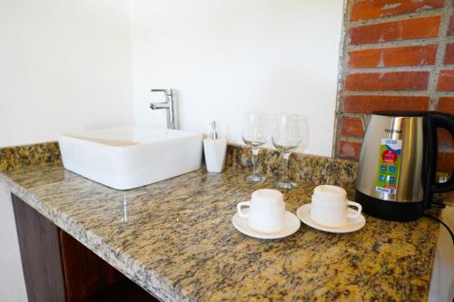 Piedades NorteHotel Ribera La Paz的厨房柜台设有水槽、咖啡壶和玻璃杯