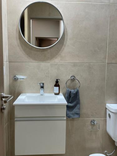 圣萨尔瓦多德朱Departamento céntrico BELGRANO的一间带水槽和镜子的浴室