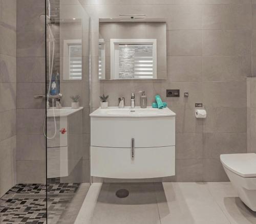 阿德耶Apartment Orlando的一间带水槽、淋浴和卫生间的浴室