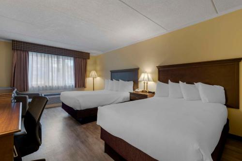 乔治湖贝斯维斯特乔治湖酒店的酒店客房配有两张床和一张书桌