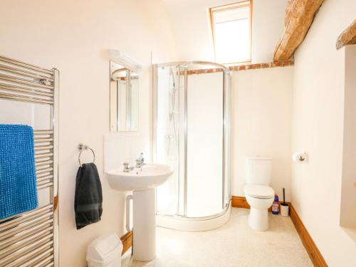 盖顿Hadleigh Farm Barn的带淋浴、盥洗盆和卫生间的浴室