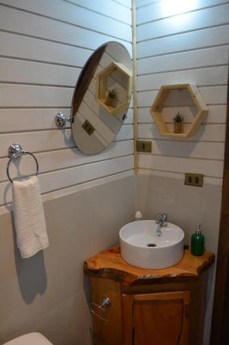 潘吉普伊Ruca del Fuy的一间带水槽和镜子的浴室