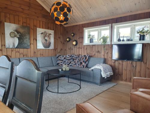 LifjellWonderful cabin with amazing mountain - view的带沙发和电视的客厅
