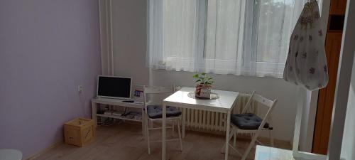 拉贝河畔皇宫镇Garsonka ve Dvoře的小房间设有桌子和书桌及电脑
