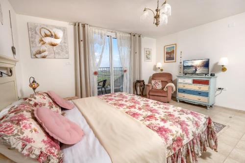 SemadarSuite Kolibri in Galilee的一间卧室配有一张床、一把椅子和电视
