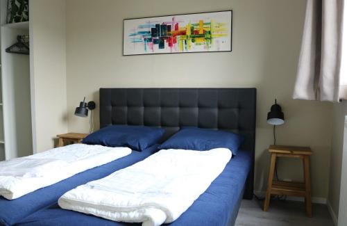 SusterenChalet Aleblie的卧室内的两张床和蓝色枕头
