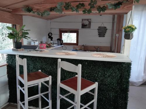 洛尔格Domaine d'Avalon的厨房配有2张凳子和水槽的柜台