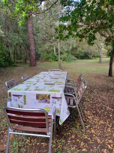 洛尔格Domaine d'Avalon的树木繁茂的田野里一张长桌子和椅子