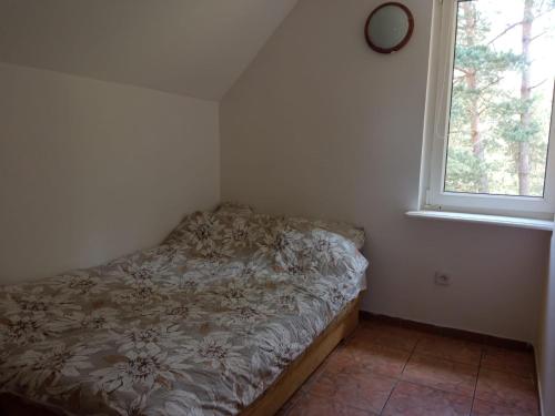 KonarzynyDomek na Kaszubach的窗户客房内的小床