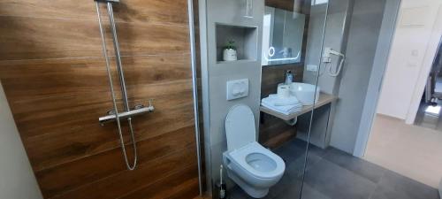 奥赫里德Apartments Mite的浴室配有卫生间、淋浴和盥洗盆。