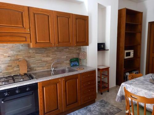 贡内萨Domus Shardana的厨房配有木制橱柜、水槽和炉灶。