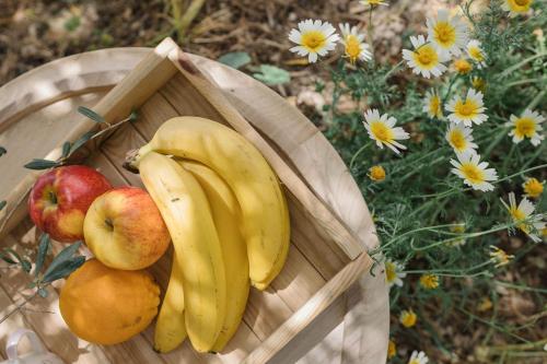 海若克利欧Star Sleep Kalesia Heraklion的一篮水果,果子上放着苹果,香蕉和鲜花