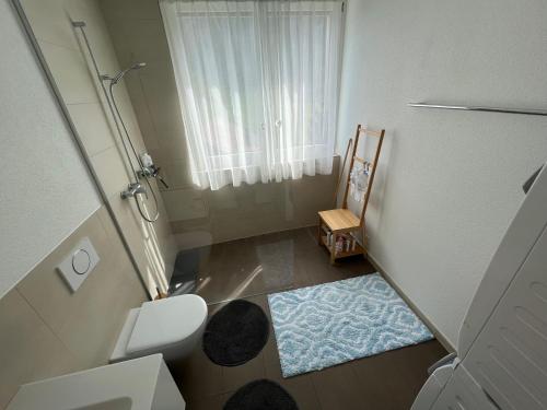 科尔斯腾Wohnung auf dem Bürgenstock的一间小浴室,内设卫生间和蓝色地毯