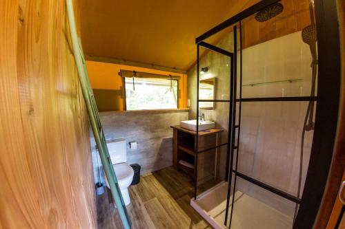 拉戈尔斯Camping et Lodges de Coucouzac的一间带卫生间和玻璃淋浴间的浴室
