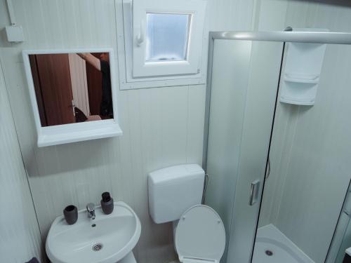 斯维蒂尤拉伊Mobile home Amfora的一间带卫生间、水槽和镜子的浴室