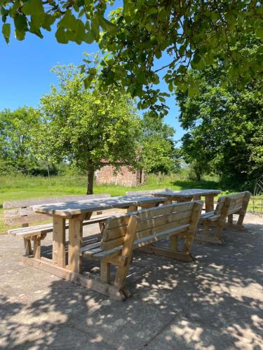 埃克塞特Ashclyst Farm Rural Retreat的一张木餐桌,配有两个长凳和一棵树
