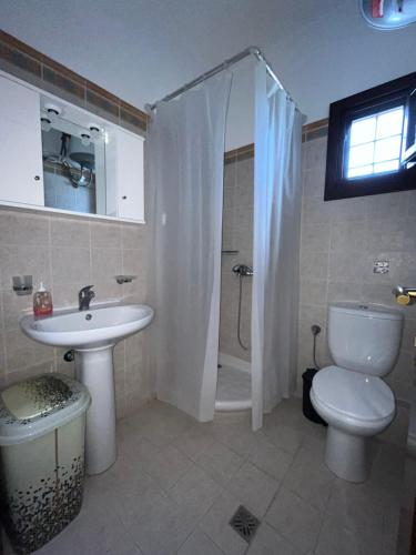 科罗皮BLUE DREAM的浴室配有卫生间、盥洗盆和淋浴。