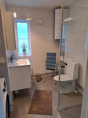 雪平斯维克Strandgarden的带淋浴、盥洗盆和卫生间的浴室