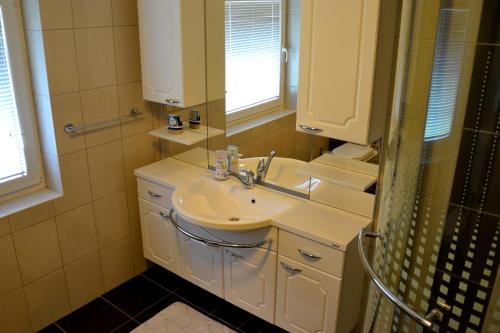 卢斯Apartma ob potoku的一间带两个盥洗盆和淋浴的浴室