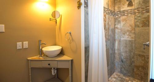 纳什维尔Wine View Room的一间带水槽和淋浴的浴室