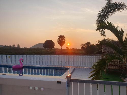 三百岭S&F villa的游泳池,在日落时分提供粉红色的火烈鸟