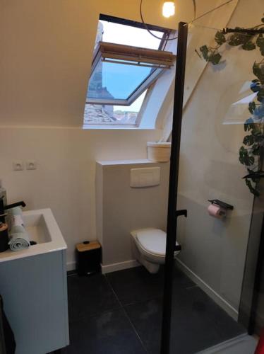 Beaussais sur MerCharmant appartement的一间带卫生间和水槽的小浴室