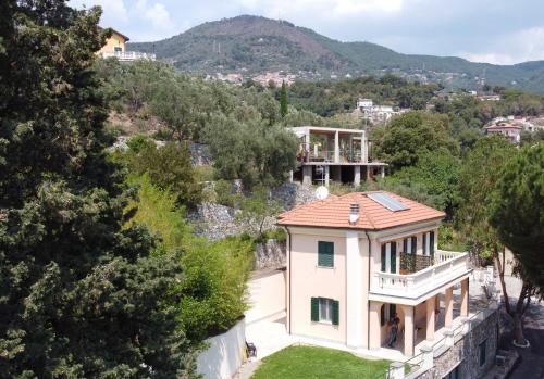 阿拉西奥Holiday Rooms La Campagnetta的山景别墅的空中景致