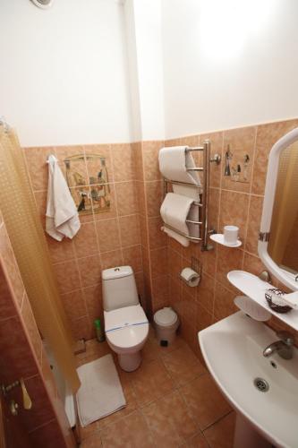 敖德萨乌宇提尼酒店的一间带卫生间和水槽的浴室