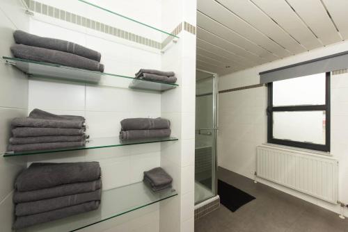 胡塔伦Vakantiehuis Villa 1 - 11 beds, 17p, 2 Bath-, 1 Livingroom的浴室设有书架、毛巾和窗户