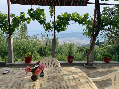 马克里尼撒Η θεα traditional house的一张带鲜花的桌子,享有美景