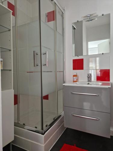 枫丹白露Studio cosy Fontainebleau hyper centre JO2024的一间带玻璃淋浴和水槽的浴室