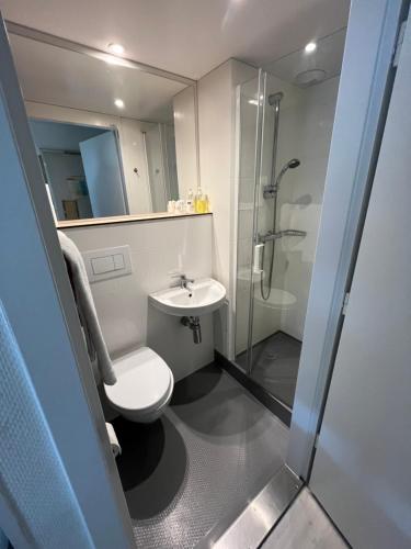 穆耶龙·勒卡普蒂夫法斯特家酒店的浴室配有卫生间、淋浴和盥洗盆。