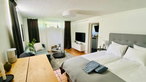 松兹瓦尔Sundsvall By M - Basement Studio的一间带大床的卧室和一间客厅