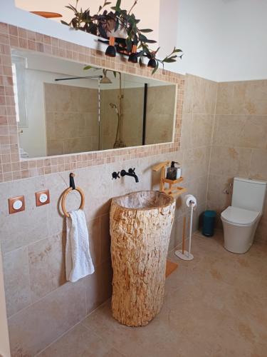 拉萨尔勒班Philoxenia, maison et table d'hôtes的一间带水槽、镜子和卫生间的浴室