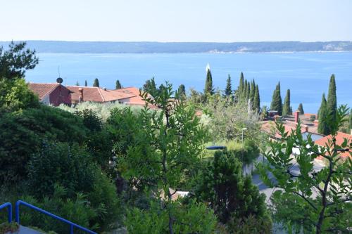 波尔托罗Dijaški dom Portorož, hostel的享有湖景。