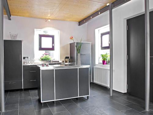 胡芬根许芬根度假屋的一个带不锈钢用具的大厨房以及两个窗户