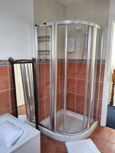 巴利卡斯尔Divine Cottage的浴室设有玻璃门淋浴