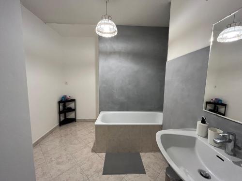 奥尔良Appartement T5 standing 104m2的带浴缸和盥洗盆的浴室