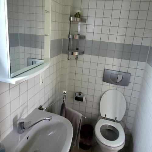 奥斯措兹Wiesenhof的一间带卫生间和水槽的小浴室