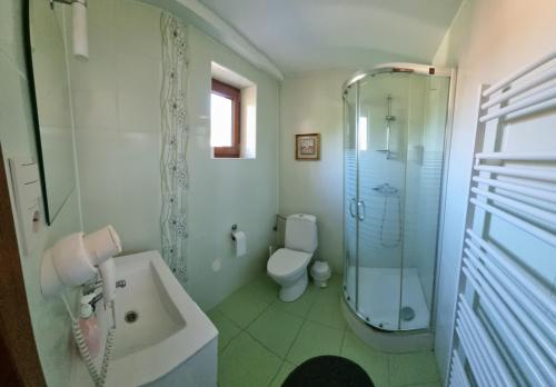 Kokava na RimavicaChata Línia的带淋浴、卫生间和盥洗盆的浴室