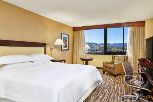 莱克伍德丹佛西喜来登酒店的酒店客房设有一张床和一个大窗户