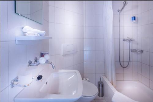 布里恩茨Hotel Wildbach Brienz的一间带水槽、卫生间和淋浴的浴室