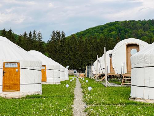 布泽乌河畔瓦马乡Glamping Iurte Mongole Spiritul Zimbrului的草场上的一排白色帐篷