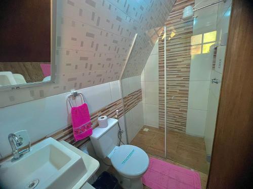 圣洛伦索Chalés Praia de Minas的浴室配有卫生间、盥洗盆和淋浴。