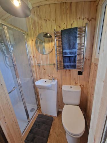 阿伯加文尼Cwtch Glamping Shepherds Huts的浴室配有卫生间、淋浴和盥洗盆。